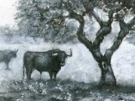 Obra de Fernando Naranjo Durán.